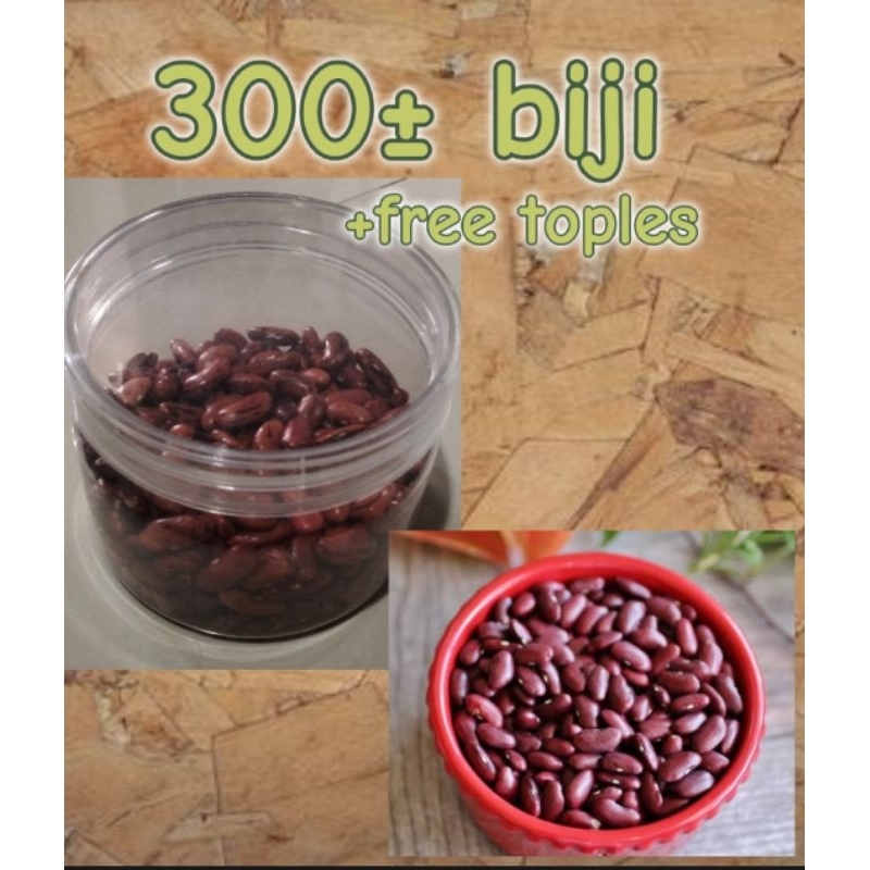 

Benih Kacang merah 300± biji