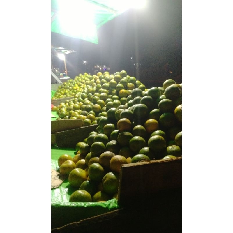 

berkahjerukpontianak