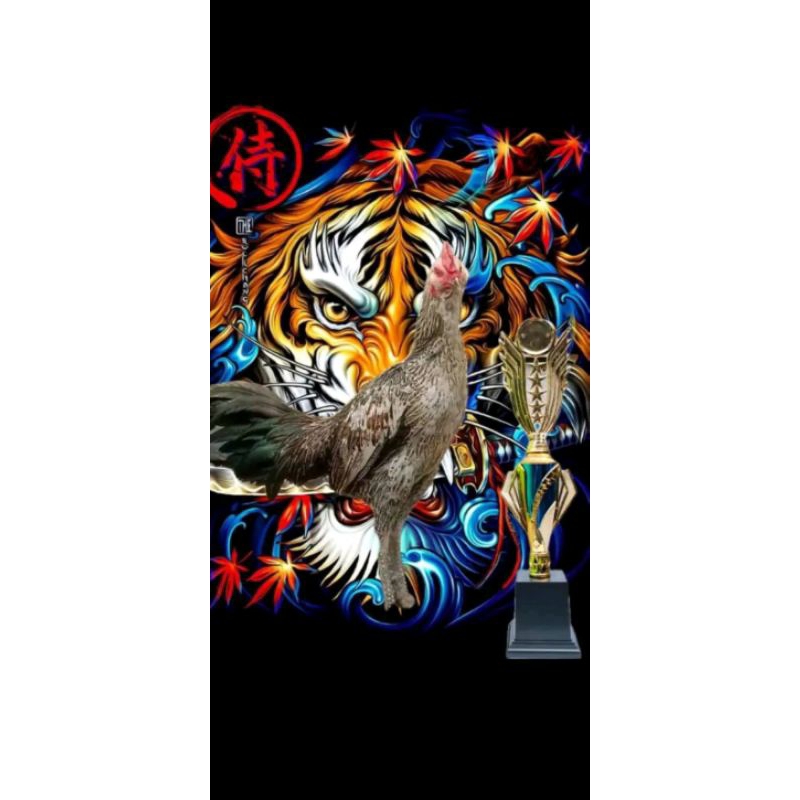 

2 BUTIR TELUR BULBI MIX YK ASLI FULL JALU