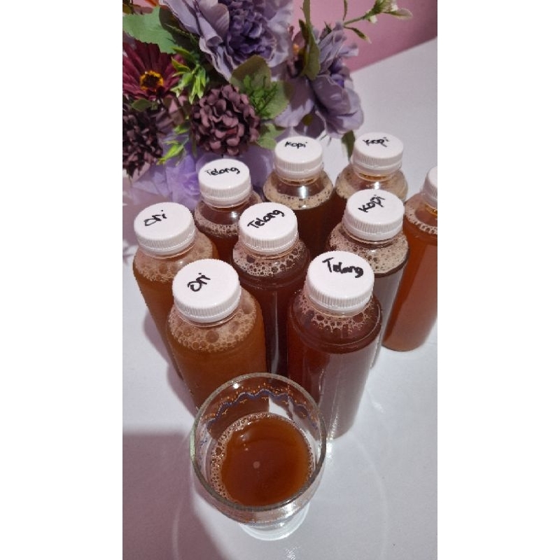 

Kombucha Varian KOPI 250ML