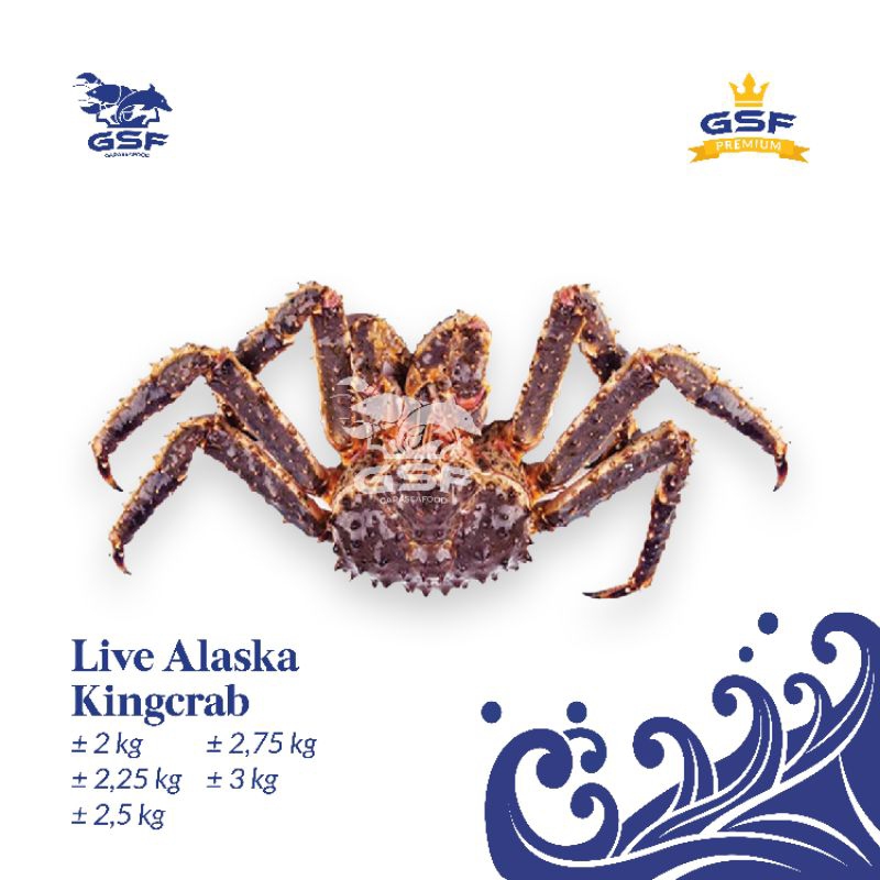 Live Seafood Alaskan King Crab l Kepiting Alaska Hidup