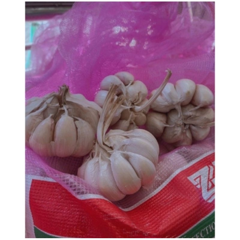 

bawang putih sinco 500grm