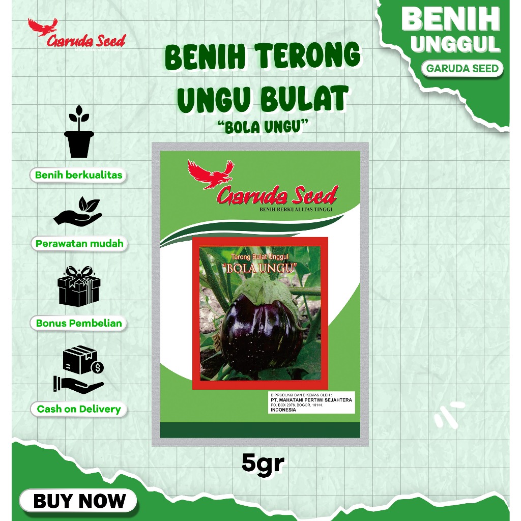 Benih Bibit Terong Ungu Bulat Besar Unggul Bola Ungu 5 Gram Garuda Seed