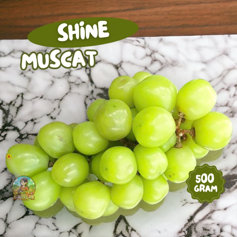 

Anggur Shine Muscat Hijau Seedless Tanpa Biji