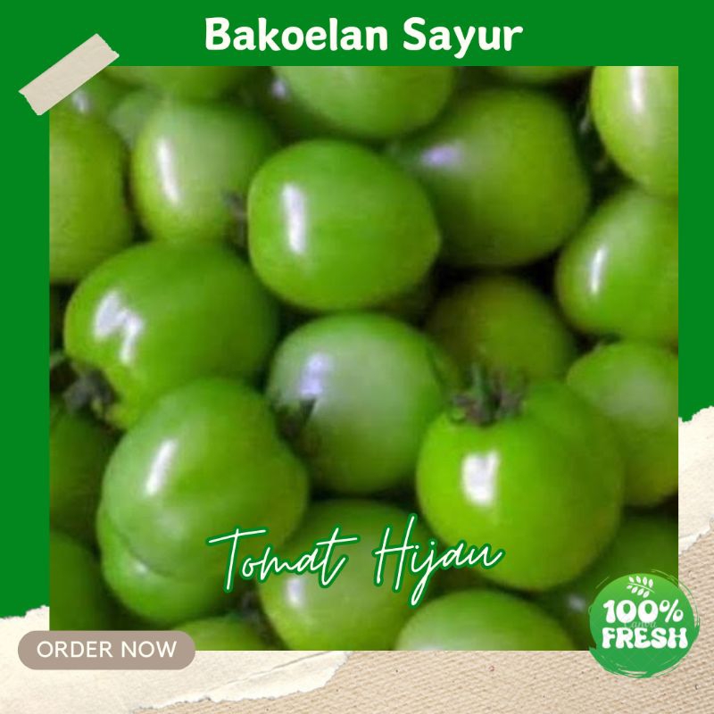 

TOMAT HIJAU FRESH 250GR SAYURAN HIJAU SEGAR FRESH