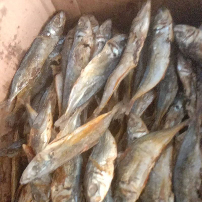 

ikan asin klotok madura 250 gram