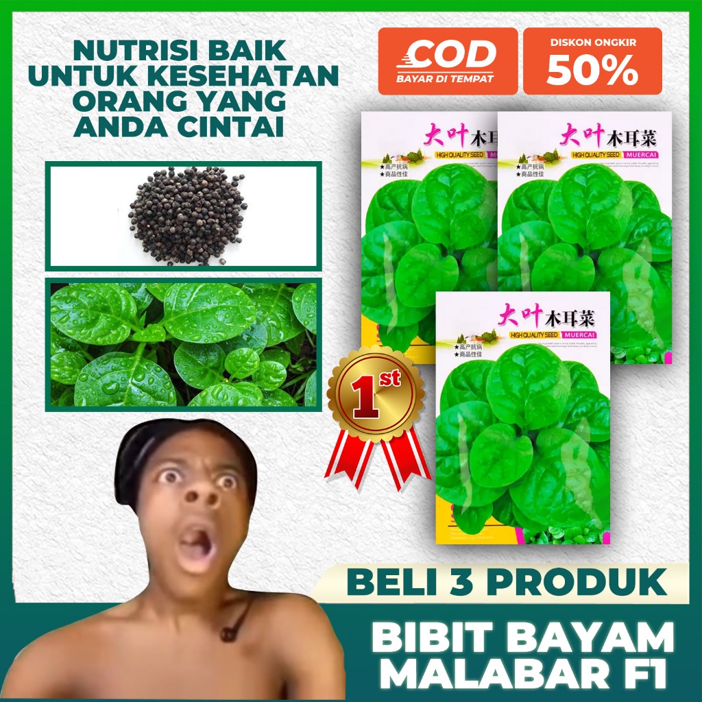 [3 bungkus] Bibit Bayam Malabar Benih Bayam Hijau Malabar Bibit Tanaman Sayuran Benih Sayuran Hijau