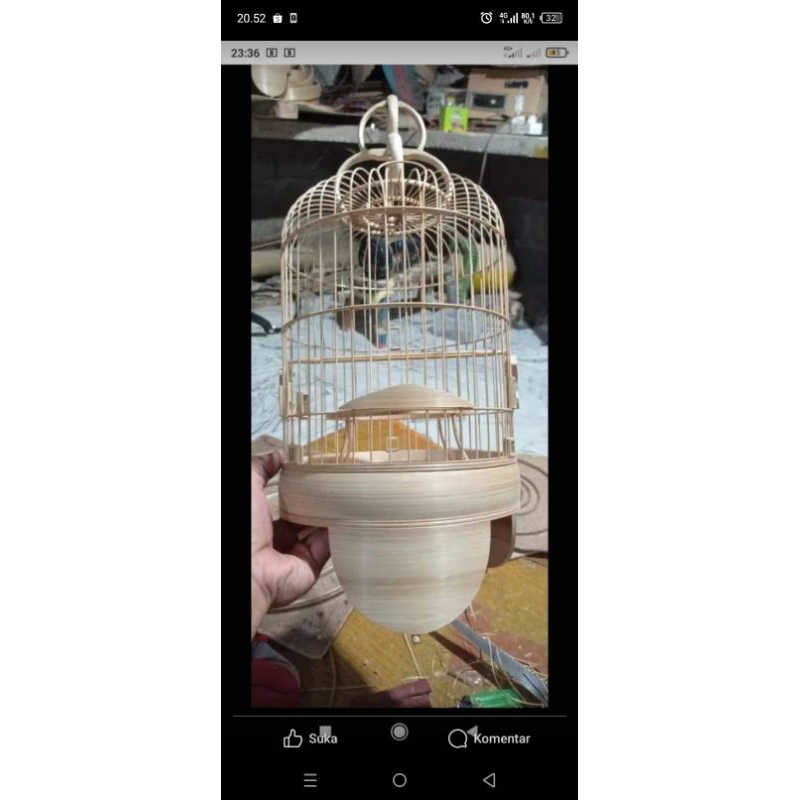 ambrukan pleci premium