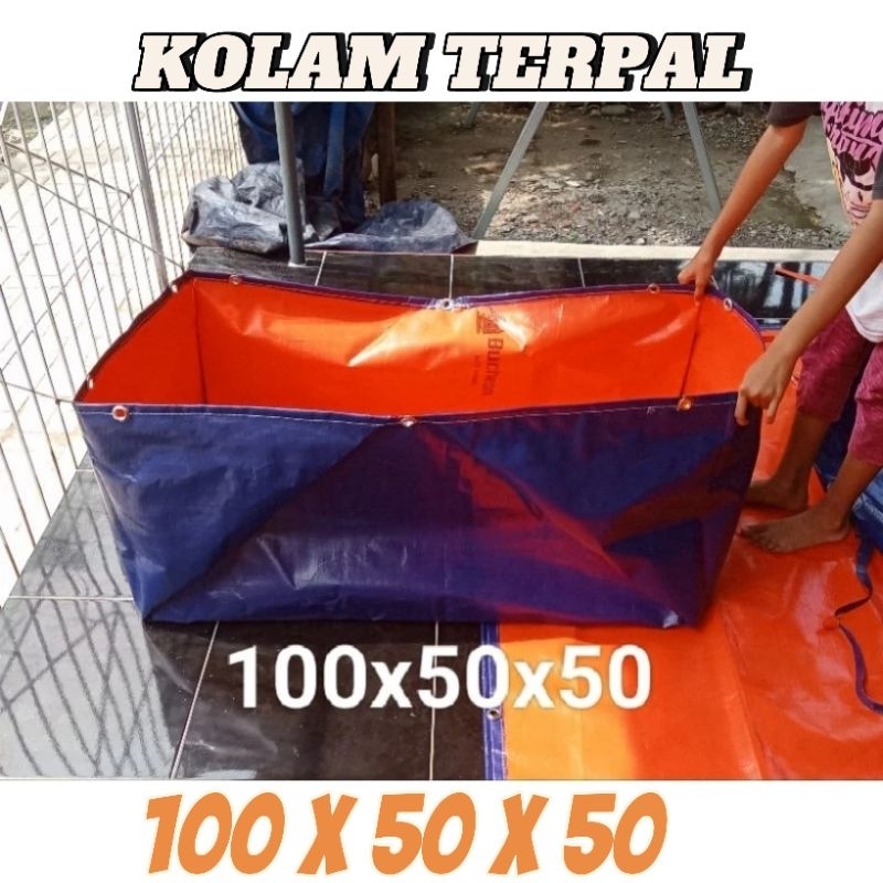 TERPAL KOLAM IKAN, KOLAM TERPAL 100x50x50 Berkualitas KOREA