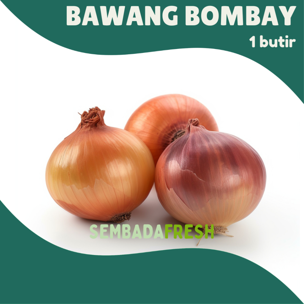 

Bawang Bombay 1 butir - SEMBADA FRESH [Pengiriman Instant]