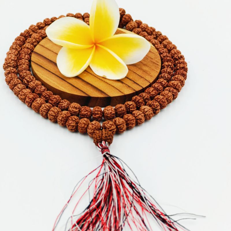 Kalung Japamala Rudraksha/ Mala Genitri 108 Original