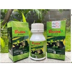 

Teh Hitam BESTEA 80 gr Penurun Kolesterol Diabetes Asam urat