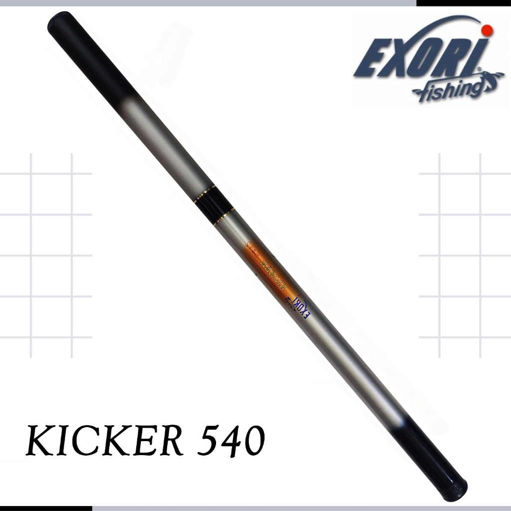 Joran Tegek Carbon Exori Kicker 540