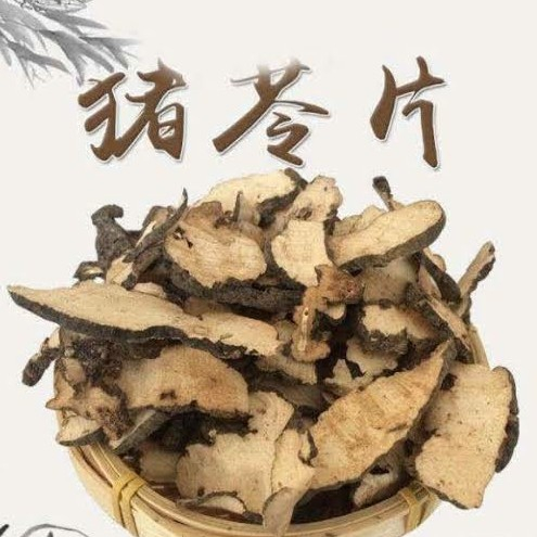 

Zhu Ling Pian 猪苓片 PoriMaitake Chinese Premium Grade 50 Gr