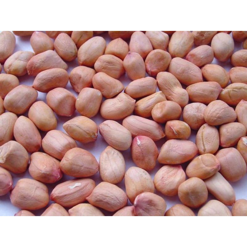 KACANG TANAH KERING / KACANG TANAH KUPAS 1 KG