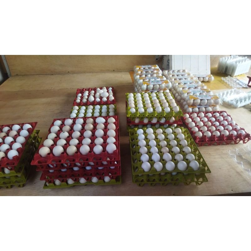 

Telur Ayam Kampung Arab 1 pack isi 10