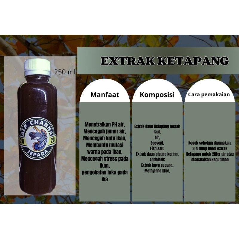 EXTRAK DAUN KETAPANG MERAH KETAPANG LAUT 250ml  PREMIUM