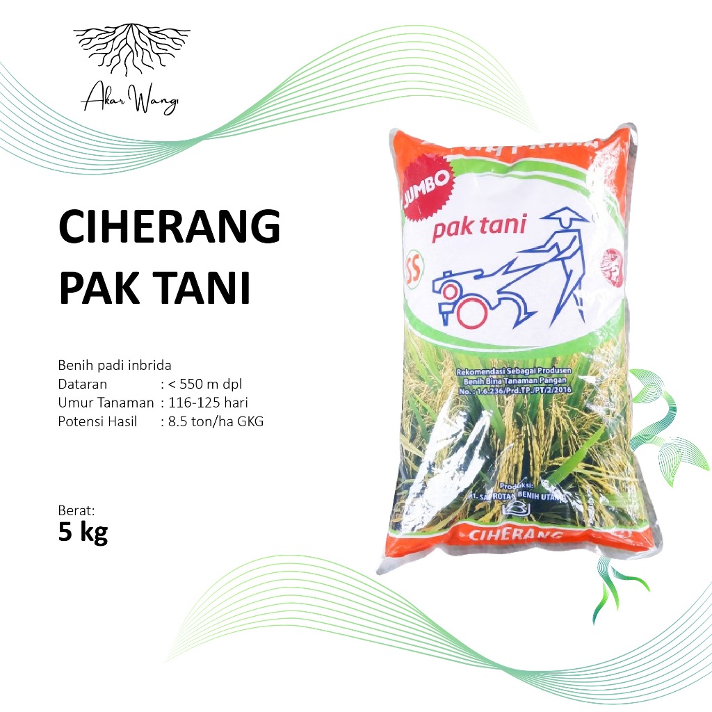 BENIH PADI CIHERANG PAK TANI 5 KG [EXP 03 Maret 2026]
