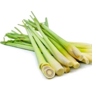 

Daun Serai Segar