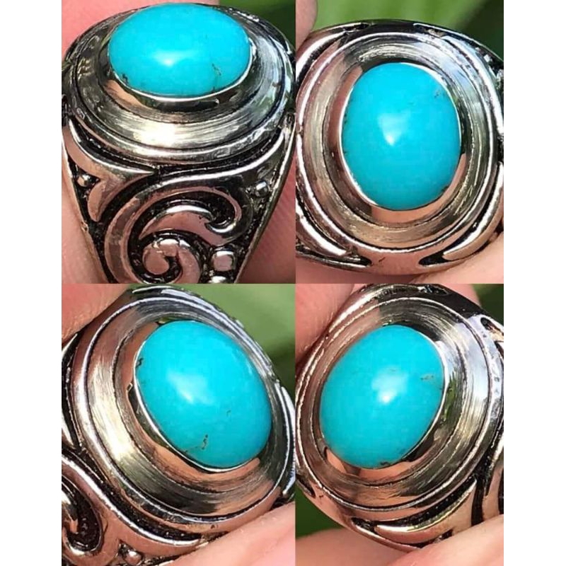 pirus persia biru polosan