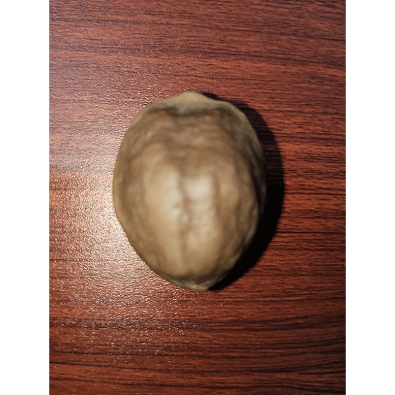 Muncang Adu Jawa ORI (Pedang Super)