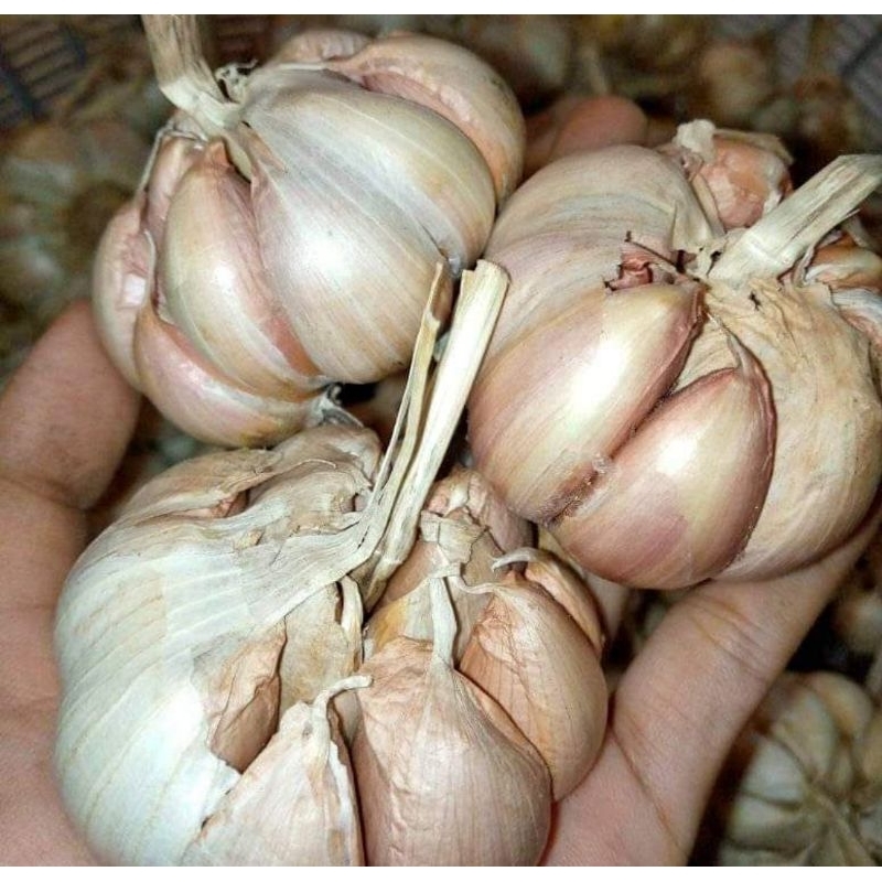 

Bawang putih kemasan 500 gr