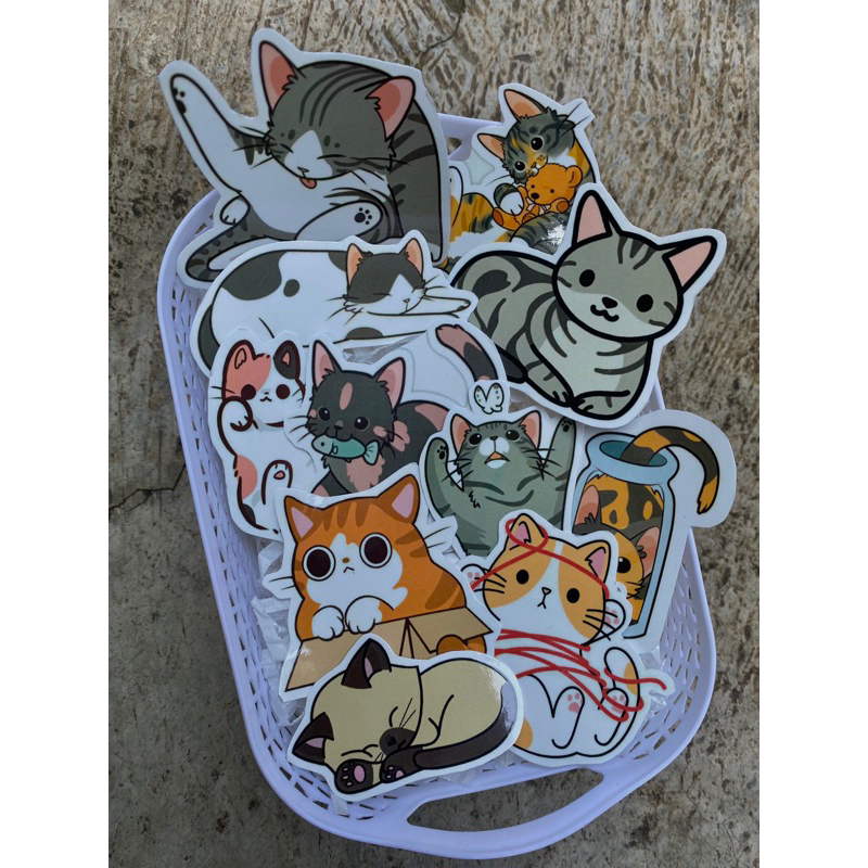 

STARLY - STIKER KUCING STIKER MEONG STIKERKUCING STIKER LUCU