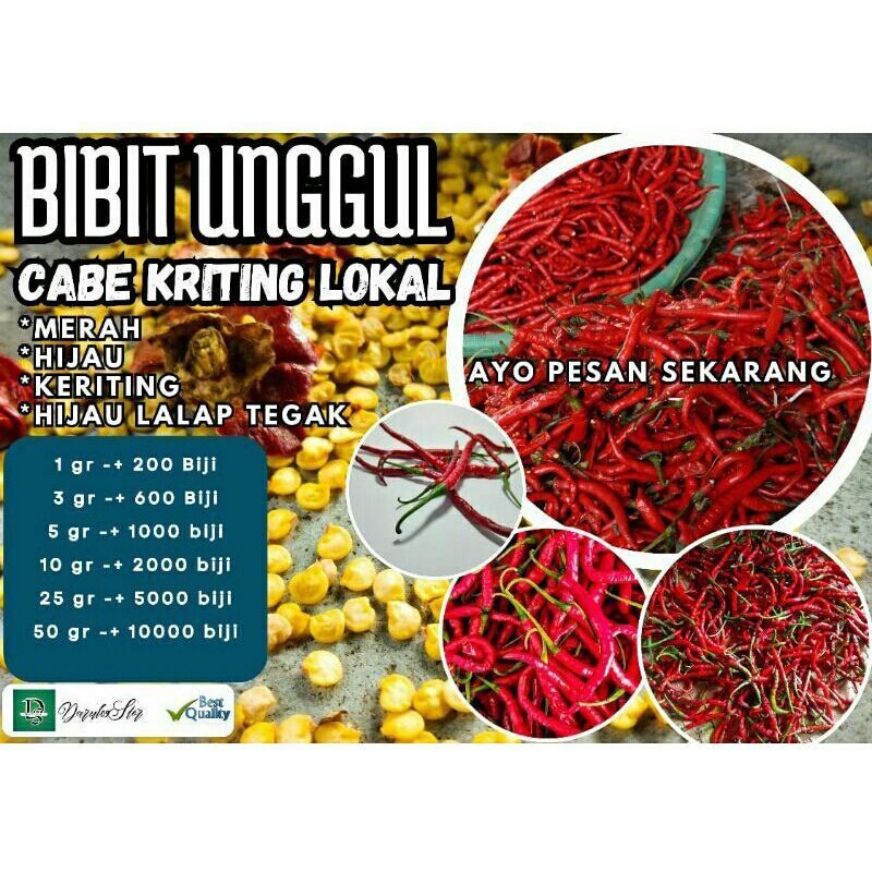 Bibit Unggul Cabe Keriting Lokal/Bibit paket kumplit cabe keriting 1gr (-+200 biji ),3gr (-+600 biji