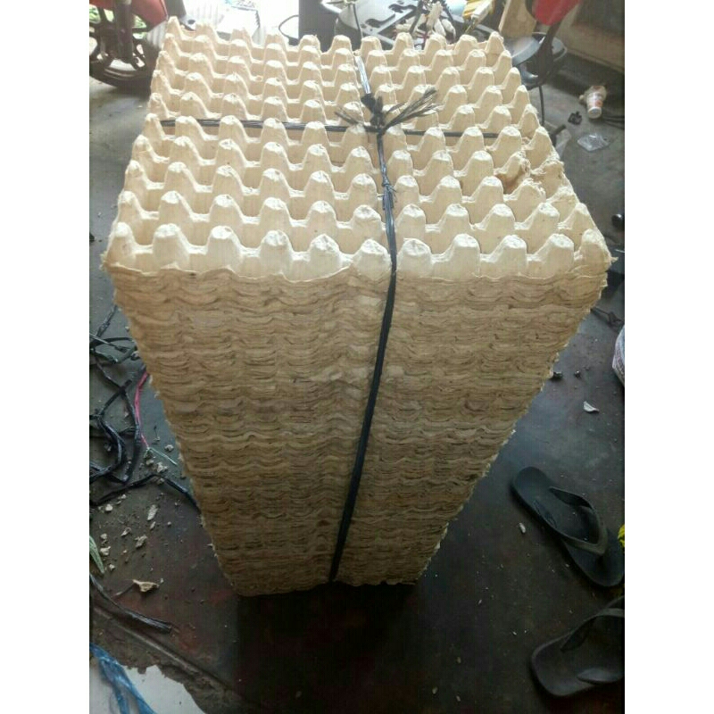 

egg tray telor puyuh /wadah telor puyuh / nampan telor