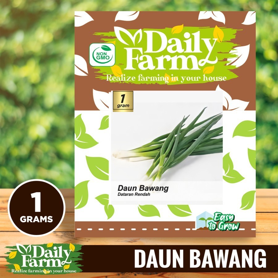 Benih Bibit Daun Bawang Dataran Rendah - Tahan Panas - Daily Farm