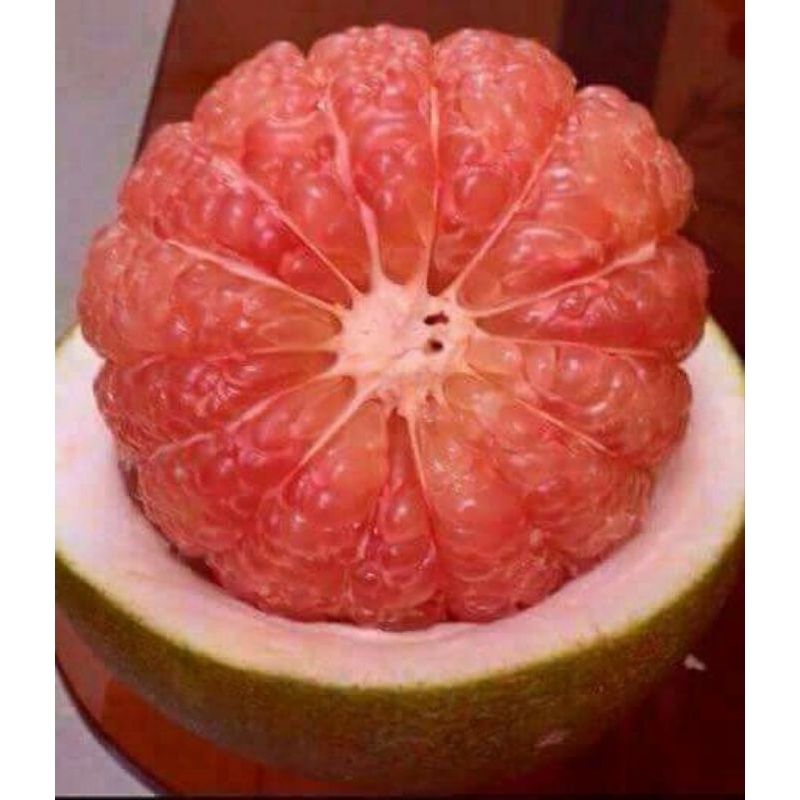 

JERUK PAMELO/JERUK BALI/POMELO FRESH 1 BUAH/jeruk bali merah/jeruk pamelo merah