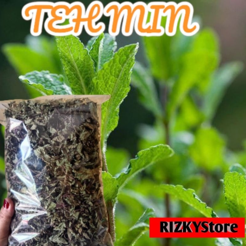 

DAUN MINT KERING ATAU TEH MINT Kemasan 100grm