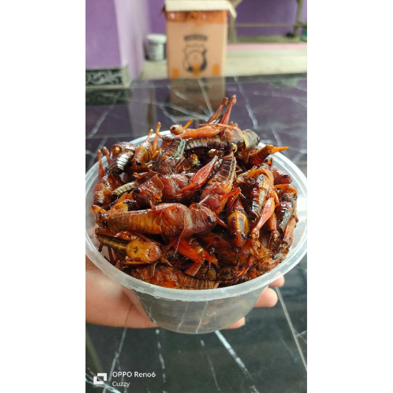 

Belalang kayu crispy