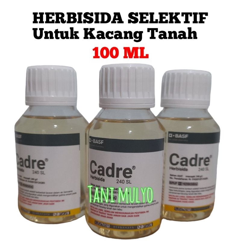 HERBISIDA CADRE 240SL isi 100ML HERBISIDA SELEKTIF UNTUK KACANG TANAH