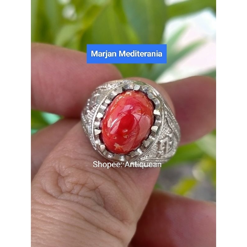 Natural red coral marjan laut merah mediterania