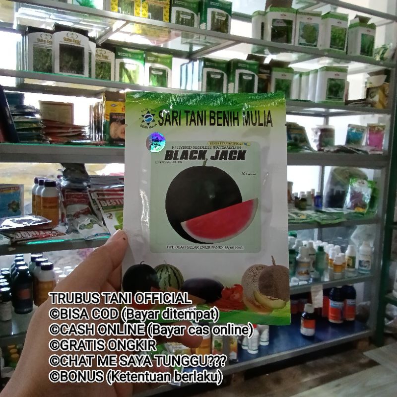 Benih Bibit Semangka Super Jumbo Black Jack F1 GRATIS ONGKIR, BONUS POTONGAN VOUCER BANYAK, MURAH BA