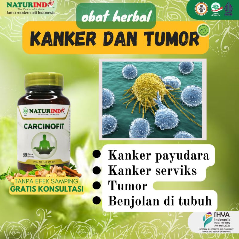 Obat Kanker Payudara Ampuh Obat Kanker Serviks Paling Ampuh Kanker Usus Besar Kanker Paru Paru Tumor