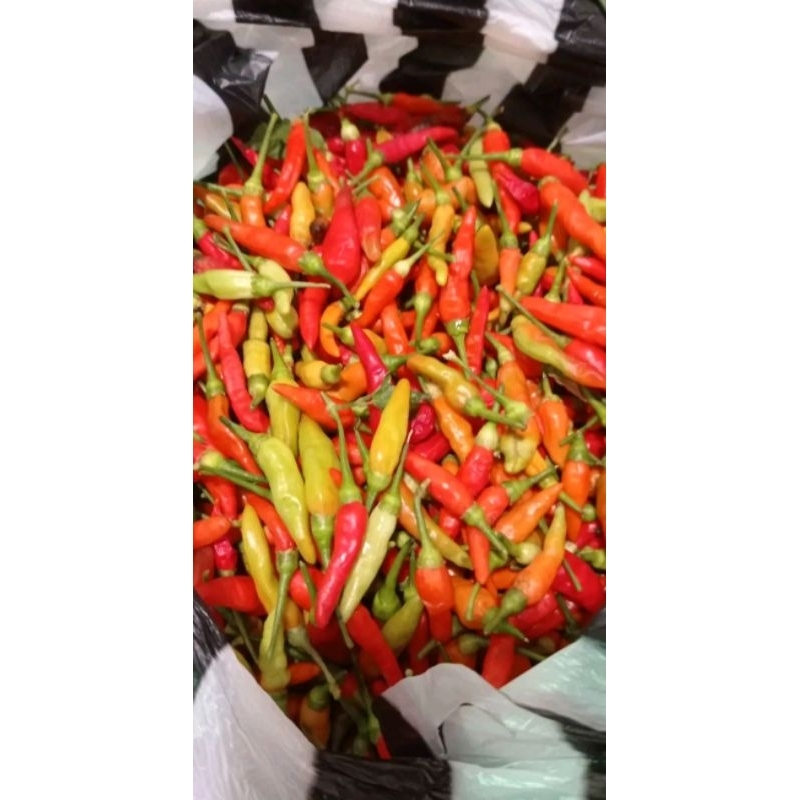 

Cabe Rawit Merah 500g fresh