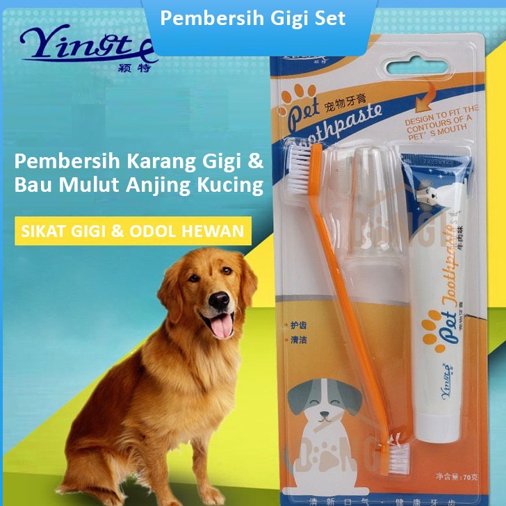 TERMURAH Sikat Gigi dan Odol Set Pembersih Karang Gigi dan Bau Mulut Anjing Kucing  Sikat Gigi Kucin