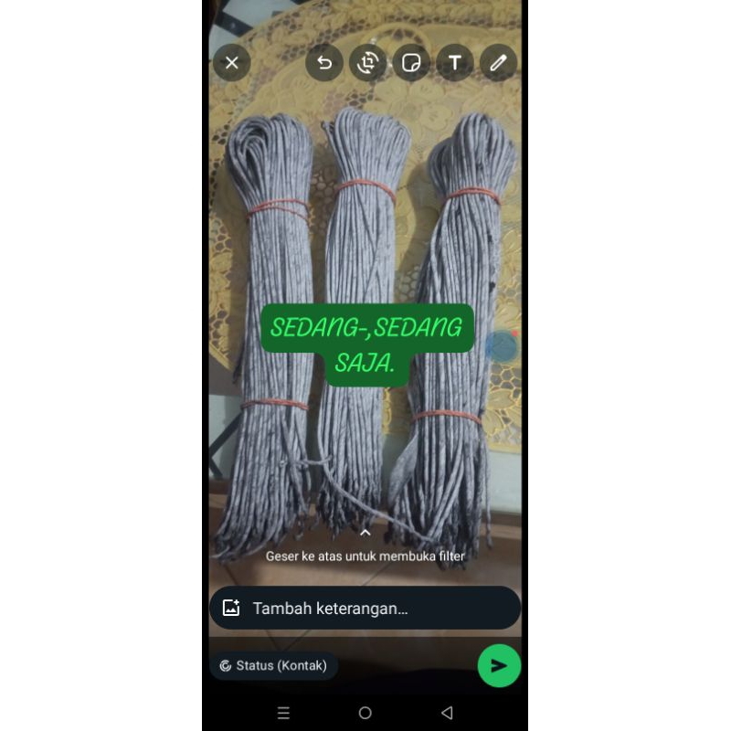 

kertas Telo 10biji panjang 60 cm (Sedang-Sedang saja) sumbu-kembang api