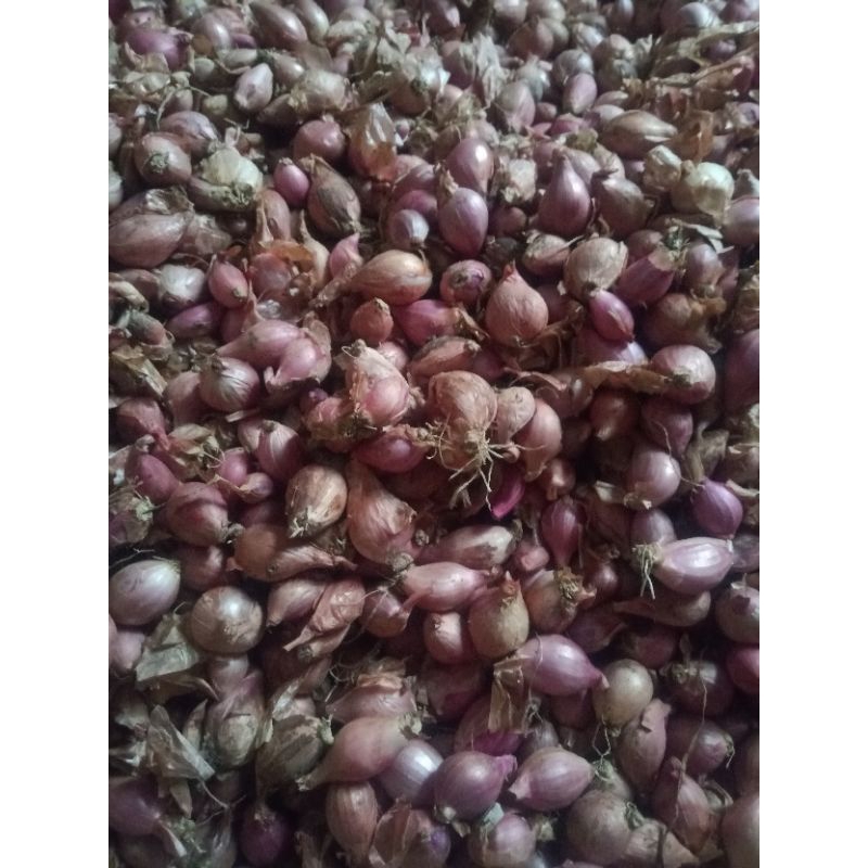 

Bawang merah 1kg