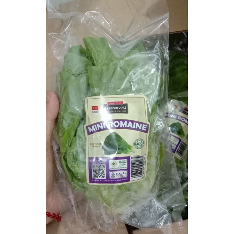 

Mini Romaine Fresharvest