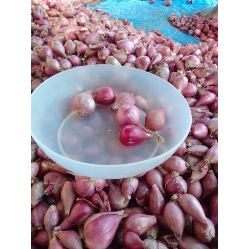 

1 kg Bawang merah mbrebes kering ukuran tangung kecil