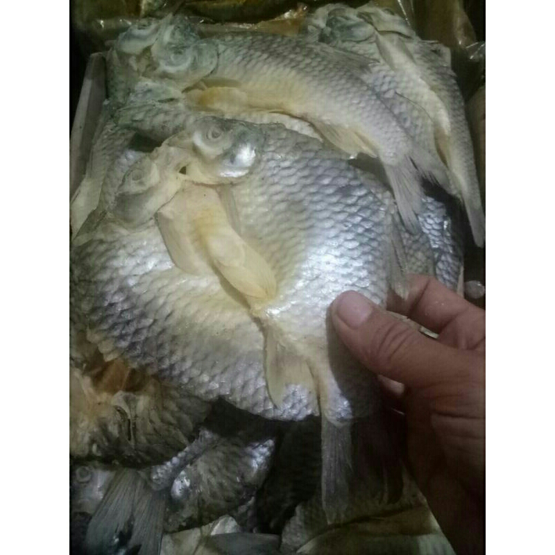 

Ikan asin tawes jumbo 500gr