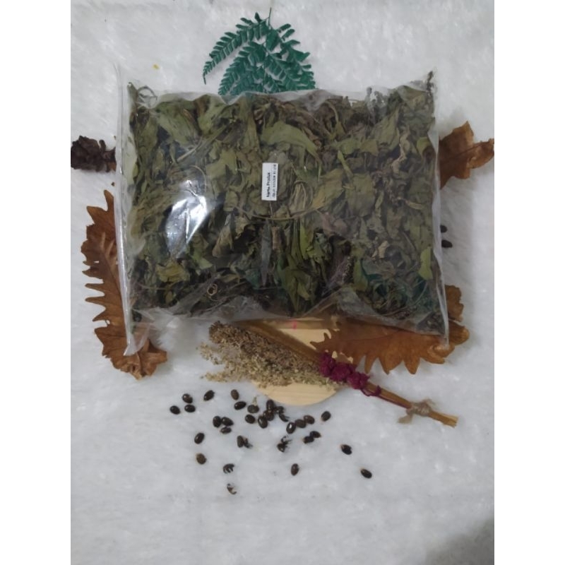 daun Ki Urat atau Daun sendok Kering 500(GRAM)