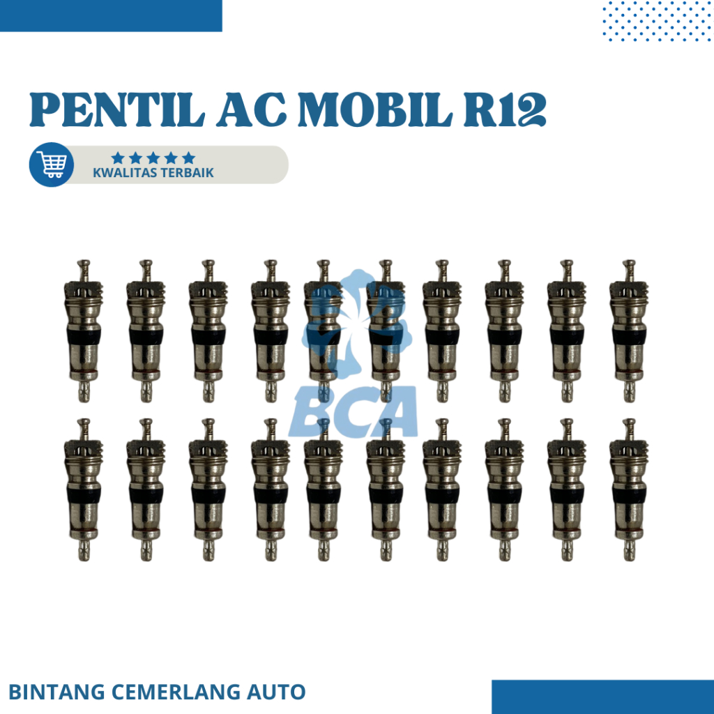 PENTIL AC Mobil R12