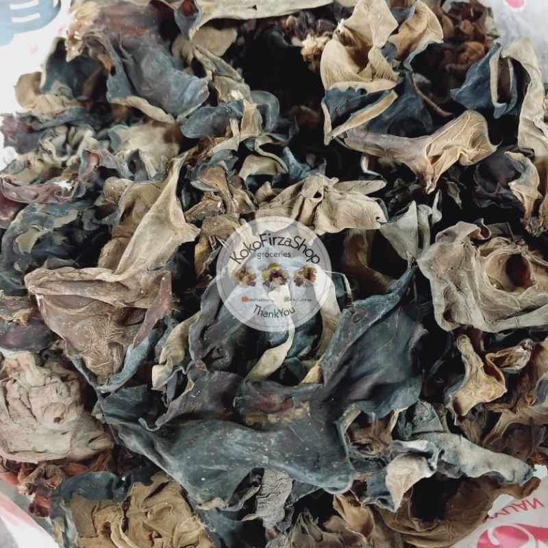 

Jamur kuping Import / Obokni 250 Gram