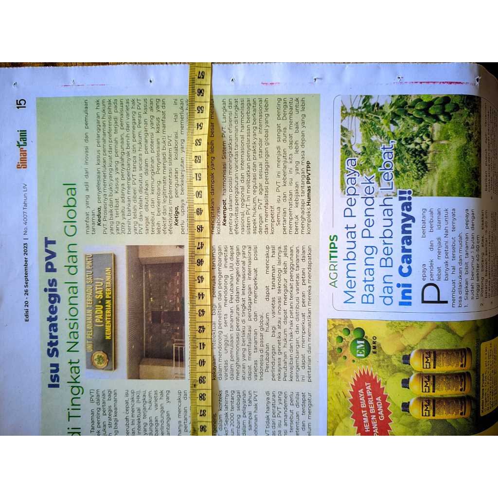 

IK6 Koran Tabloid Retur Bersih 10 Kg Koran Majalah Retur