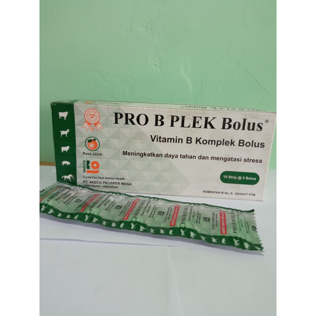 PRO B PLEK 1 Box 24 bolus / VITAMIN B KOMPLEK