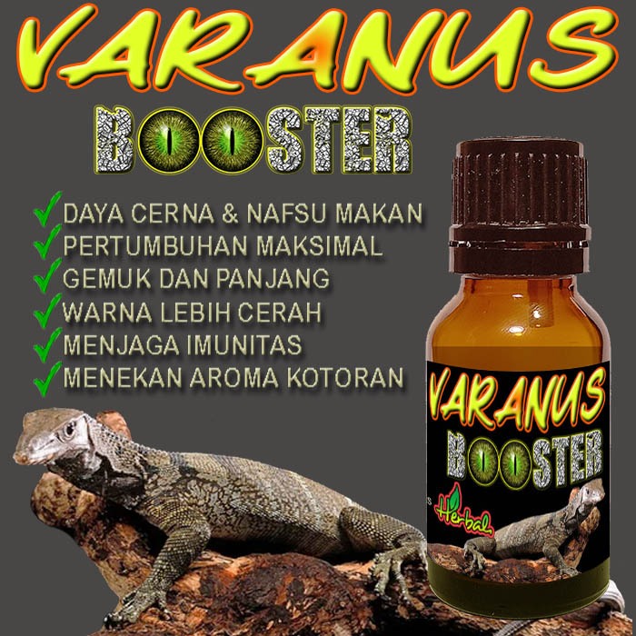 VARANUS BOOSTER VARANNUS SALVATOR SAVANNAH MONITOR SAVMON LIZARD KADAL BIAWAK OBAT PENCERNAAN MENEKA